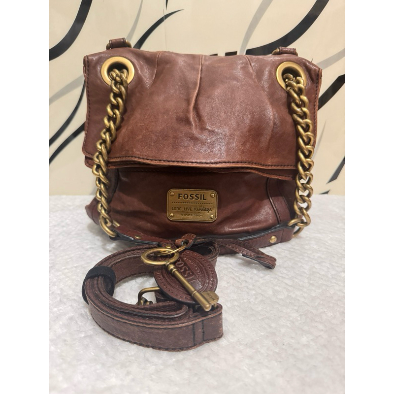 Tas PL Fossil
