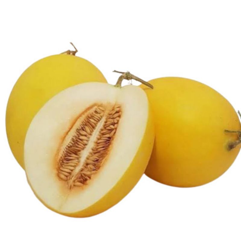 

Buah Melon Golden Manis Segar