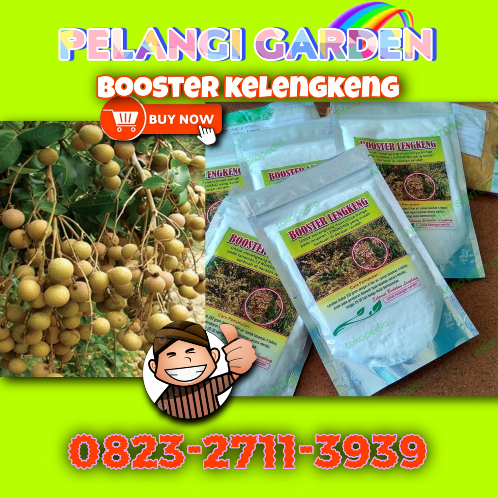 Booster Kelengkeng New Kristal Cangkok, Booster Kelengkeng New Kristal Berbuah, Booster Kelengkeng N