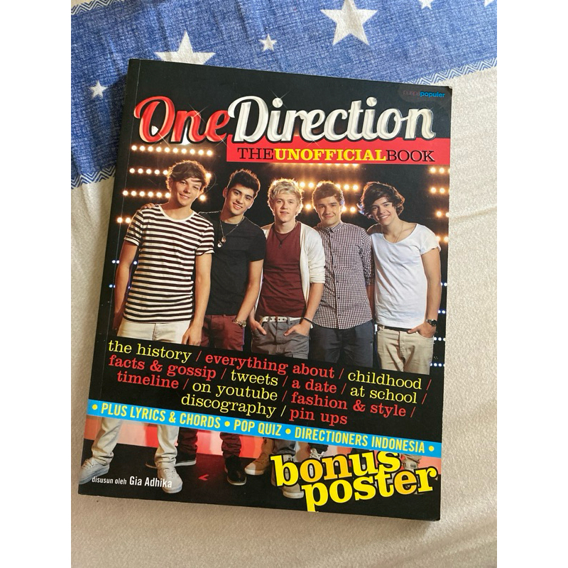 one direction (the unofficial book)