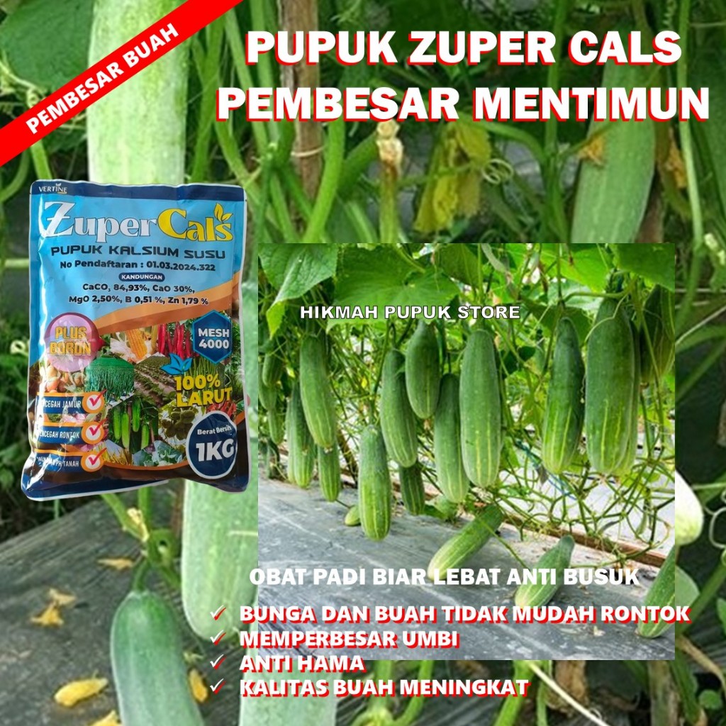 PUPUK ANTI BUSUK BATANG TIMUN ZUPERCALS 1 KG Pupuk Pencegah Busuk TIMUN, Busuk Buah, Busuk Batang, B