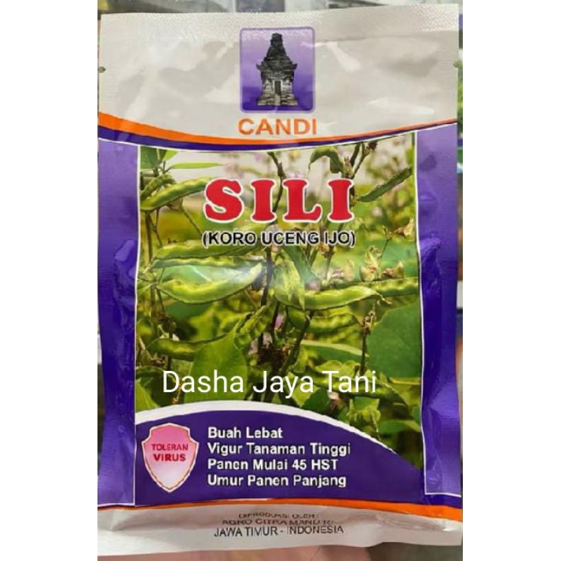 Benih Koro Uceng Ijo SILI 10 gr