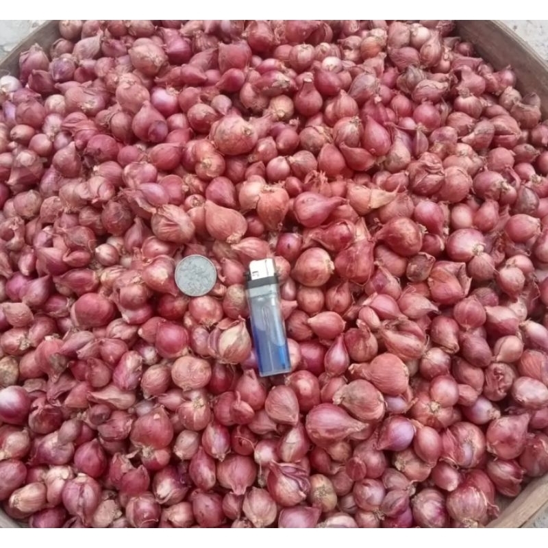 

BAWANG MERAH 1 kg