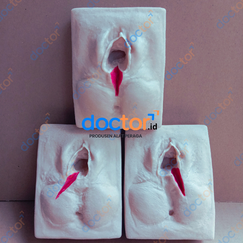 [doctor] Manikin/Manekin Praktek Episiotomi/Sayatan Perineum-Edukasi/Pendidikan Nakes-Bahan Silikon