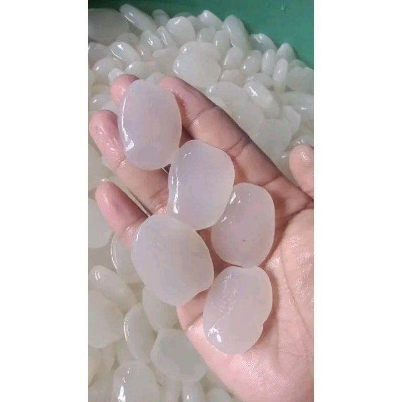 

Kolang Kaling segar 1kg/Kolang Kaling Mentah biji besar berkualitas