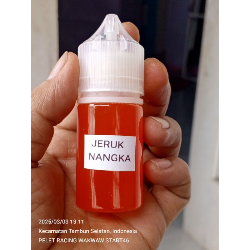 ESEN JERUK NANGKA UMPAN OPLOSAN IKAN MAS GALAPUNG GALATAMA