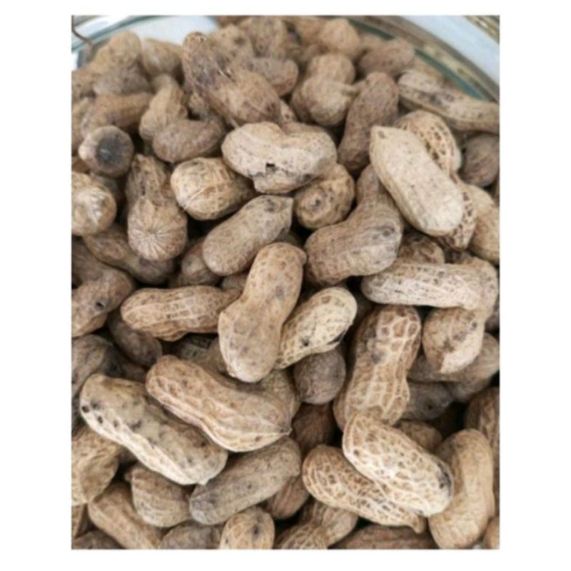 

1 kg kacang kulit sangrai Madura enak dan gurih enak cocok buat cemilan