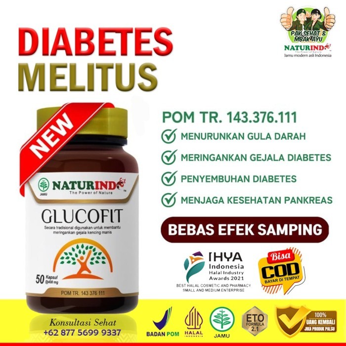 Naturindo Glucofit Diabetes Melitus