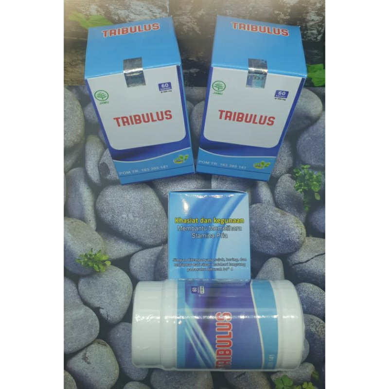 Tribulus kapsul ekstrak Tribulus terrestris stamina pria