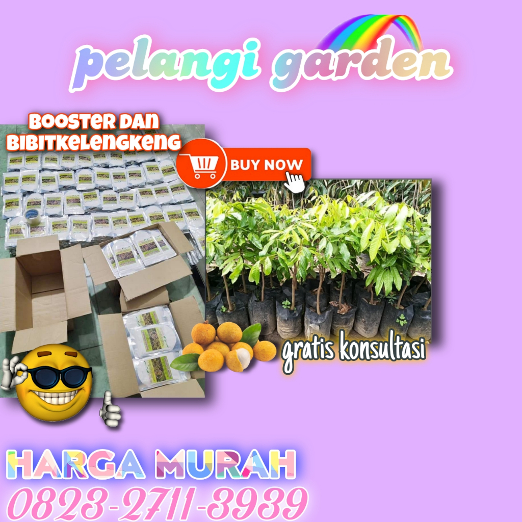 Booster Kelengkeng Serbuk, Booster Kelengkeng Super, Booster Kelengkeng Sudah Berbunga, Booster Kele