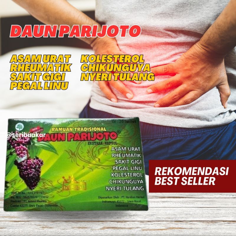 

Herbal Daun Parijoto Obat Asam Urat 100% Asli