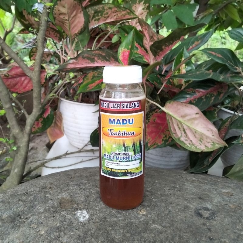 

Madu Liar Sialang Tanbihun Murni Alami. 100% raw honey