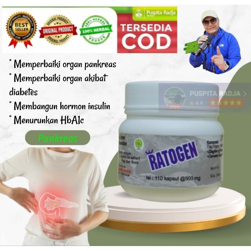 Obat herbal RATOGEN, Pankreas, puspita radja herbal