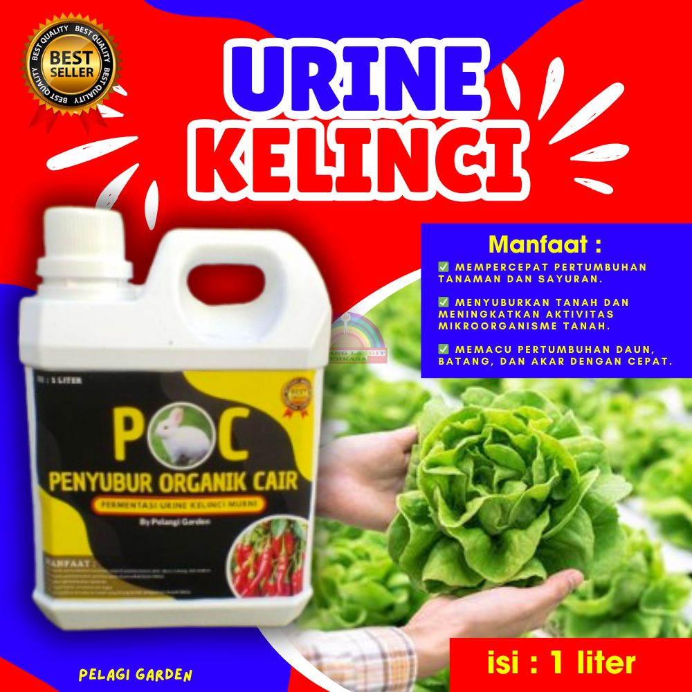 TERJAMIN  Urin Kelinci Lokal, Urin Kelinci Lokal Murah