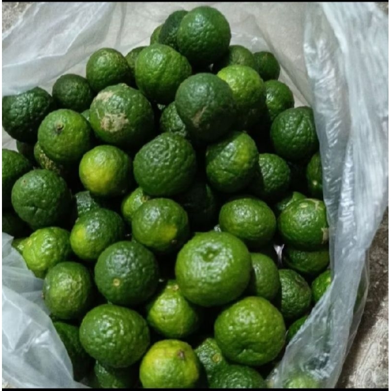 

jeruk limau segar 1kg