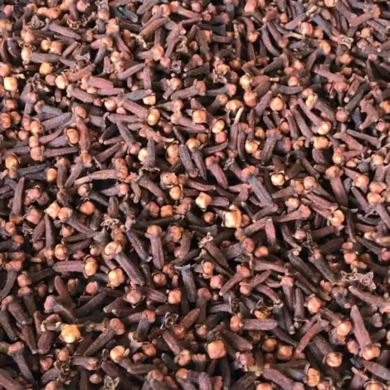 

Cengkeh kering 250gr Bumbu rempah original