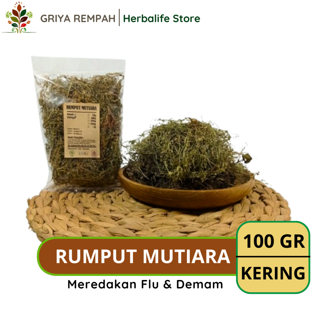 

RUMPUT MUTIARA KERING 100 GRAM Siku Siku Rempah Herbal Simplisia Alami untuk Kesehatan & Ramuan Jamu Tradisional Oldenlandia