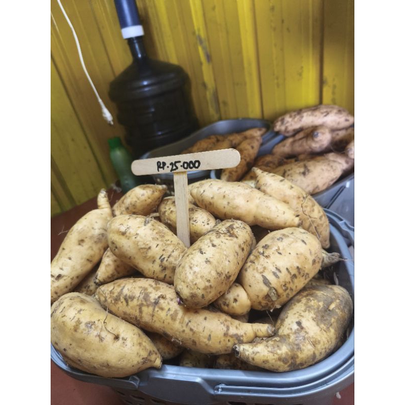 

ubi cilembu madu