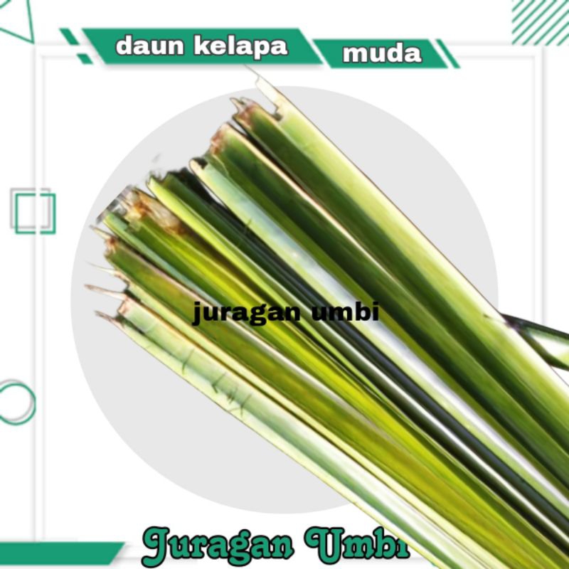 

daun kelapa muda / janur bahan ketupat atau kerajinan 1 pcs