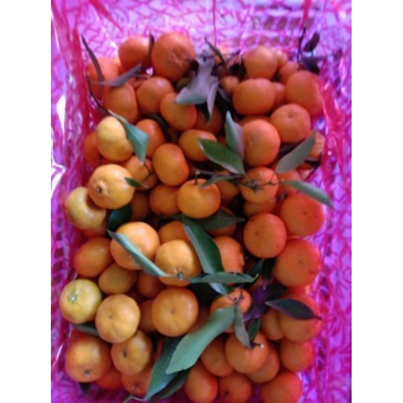

Jeruk Santang Daun krat (6kg)