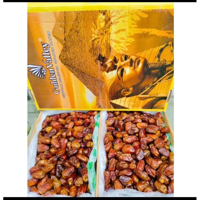 

Kurma mesir madu golden valey