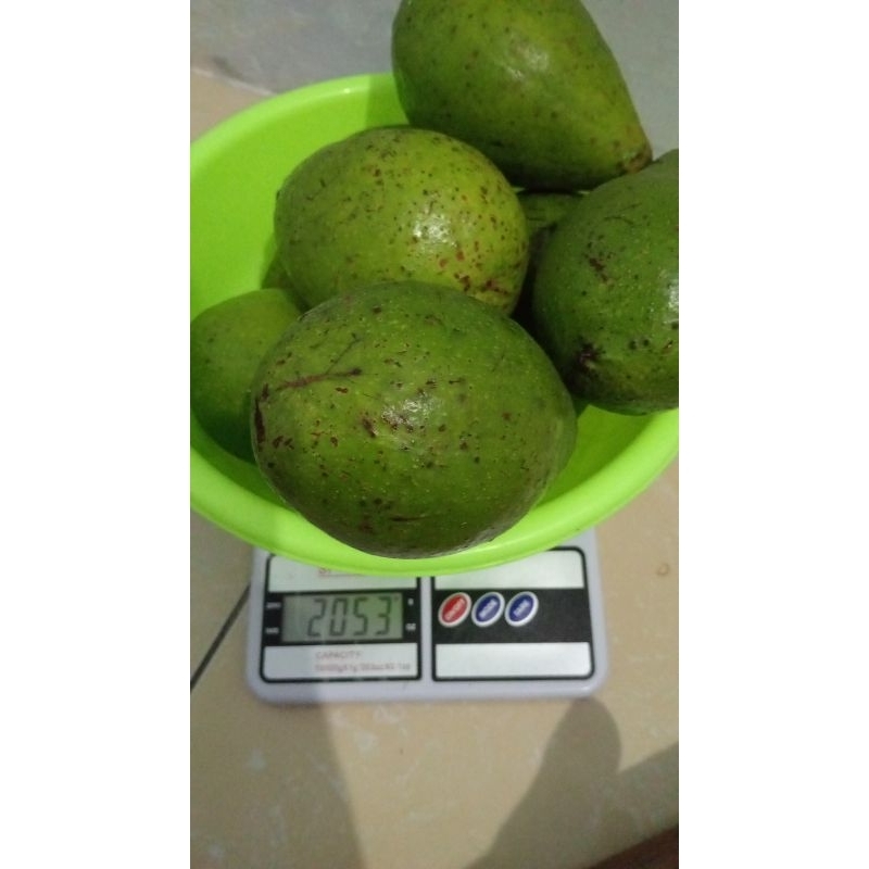 

ALPUKAT MENTEGA SUPER/JUMBO/1KG ISI 2-3 MURNI