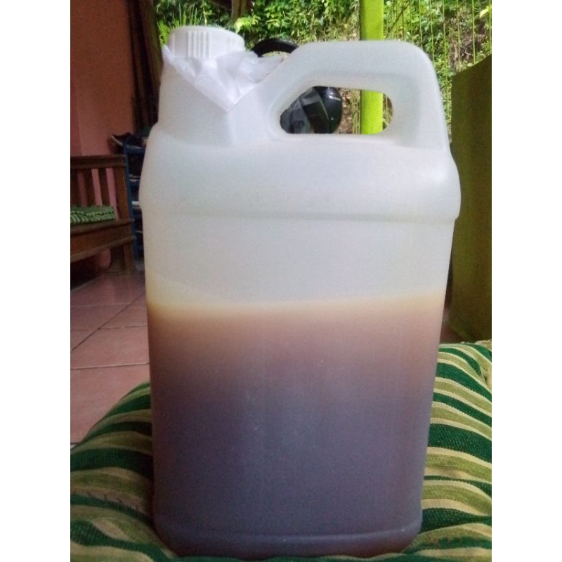 

✅[COD] madu hutan/madu Odeng 100% Asli dan murni 5 kg