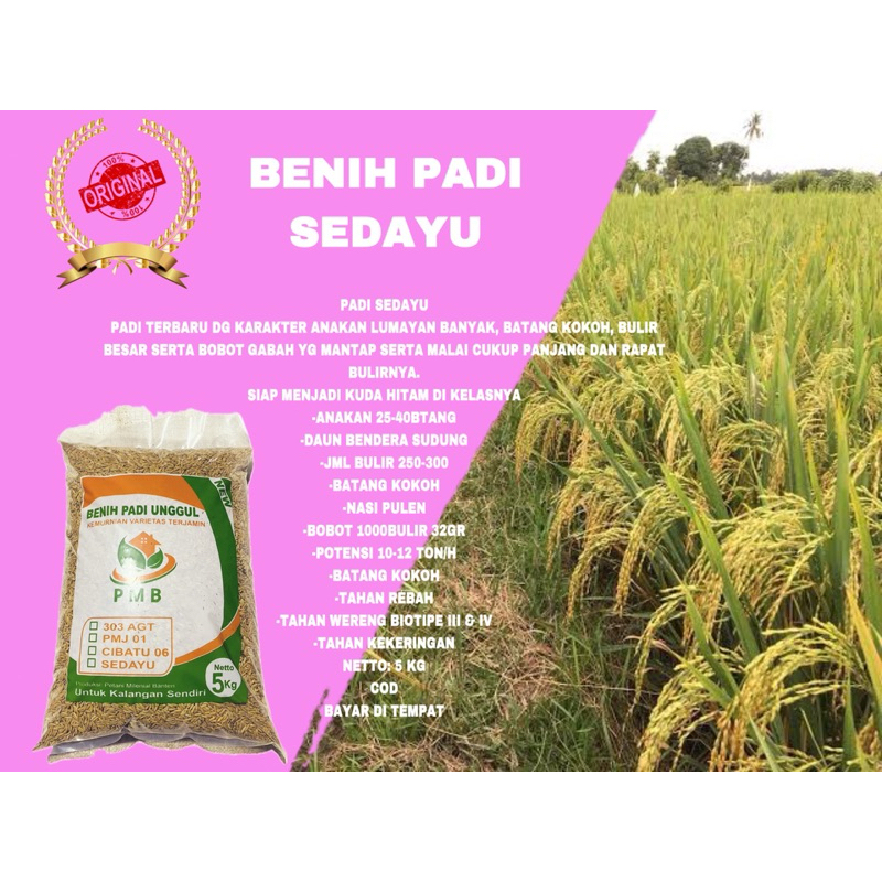 Benih padi unggul Sedayu benih padi Sedayu benih padi Sedayu kemasan 5 kg original