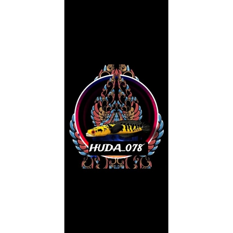 paket hemat Channa red Barito