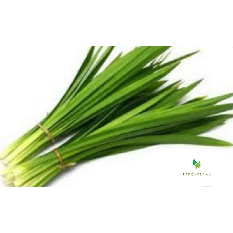 

DAUN PANDAN PROMO RAMADHAN