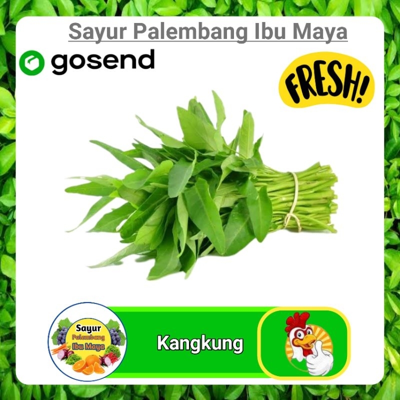 

Sayur Kangkung Segar Fresh 1 Ikat Palembang
