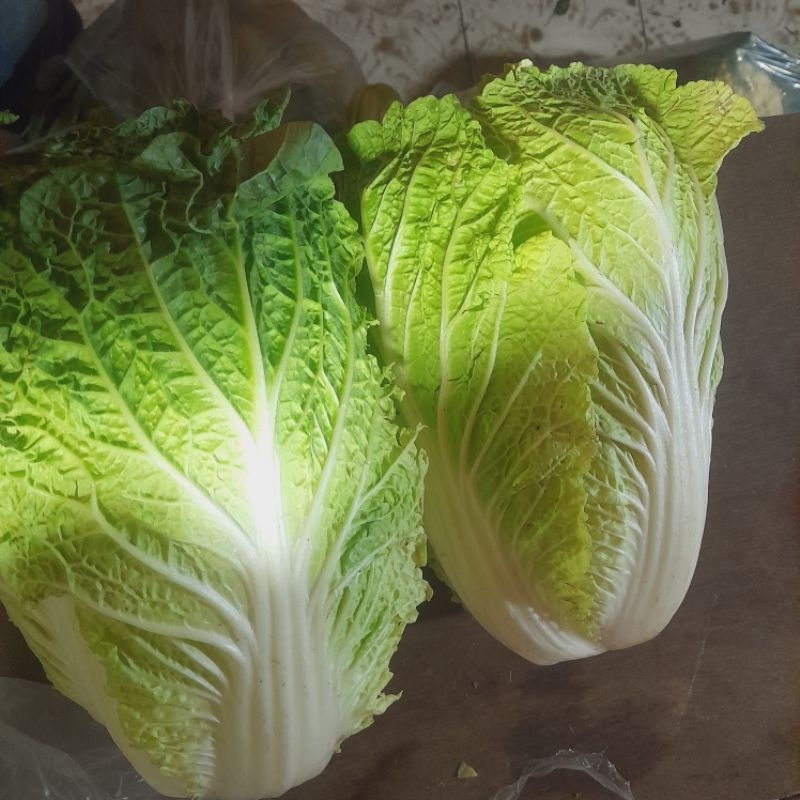 

sawi putih berat 1kg