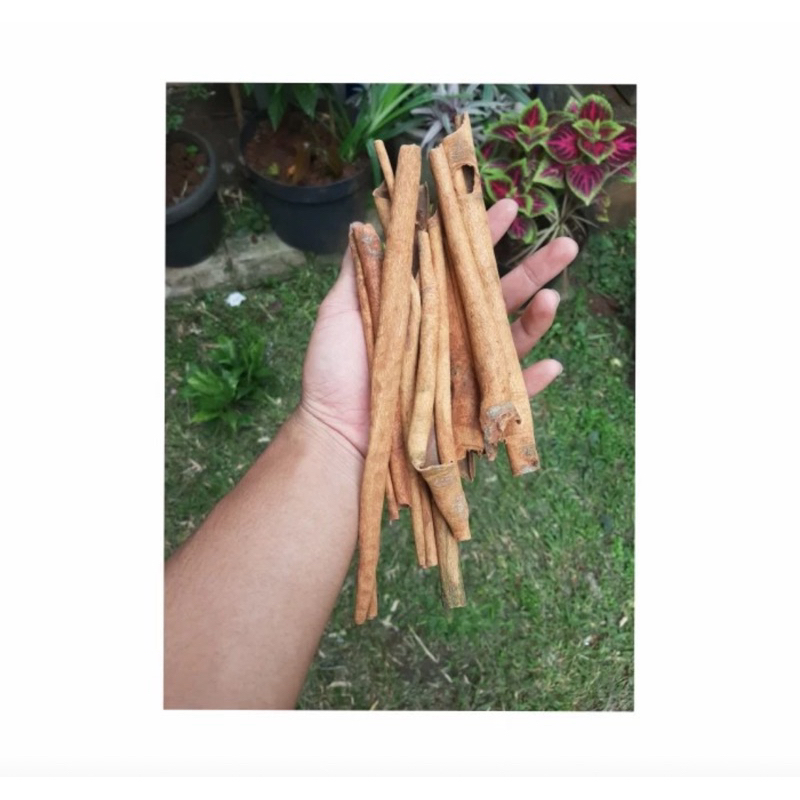 

Kayu manis / penyedap makanan