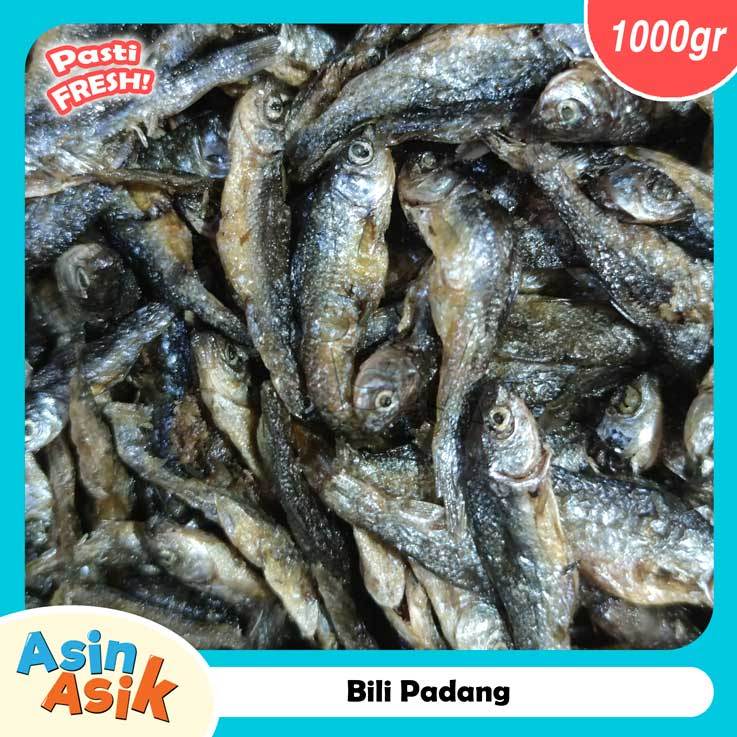 

Ikan Asin Bili Padang Premium Kualitas Super Segar Fresh kemasan 1kg