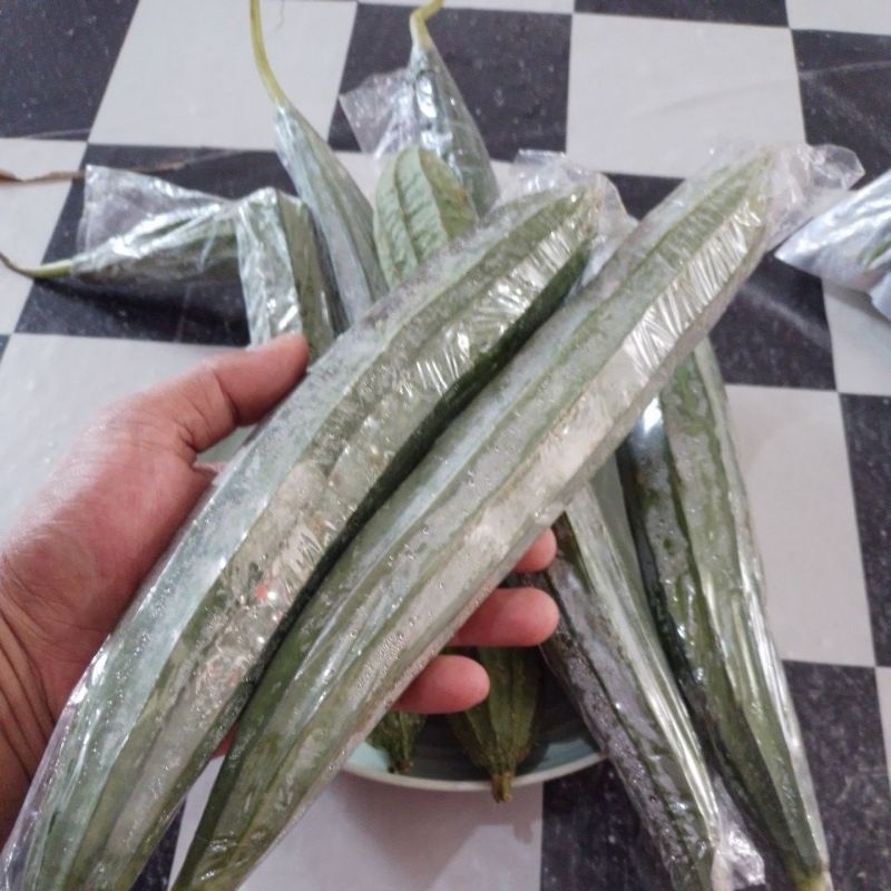 

Oyong Sayur Pilihan fresh 1KG