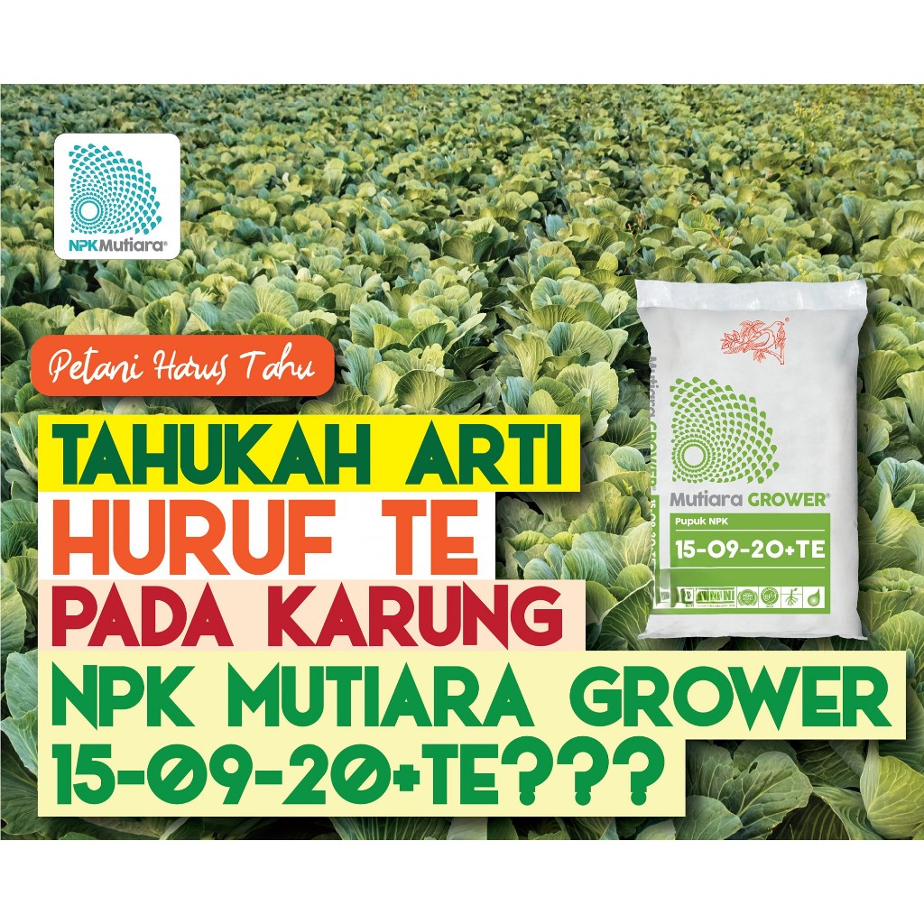 NPK Mutiara GROWER 15-09-20+TE  Meroke NPK grower 25 KG