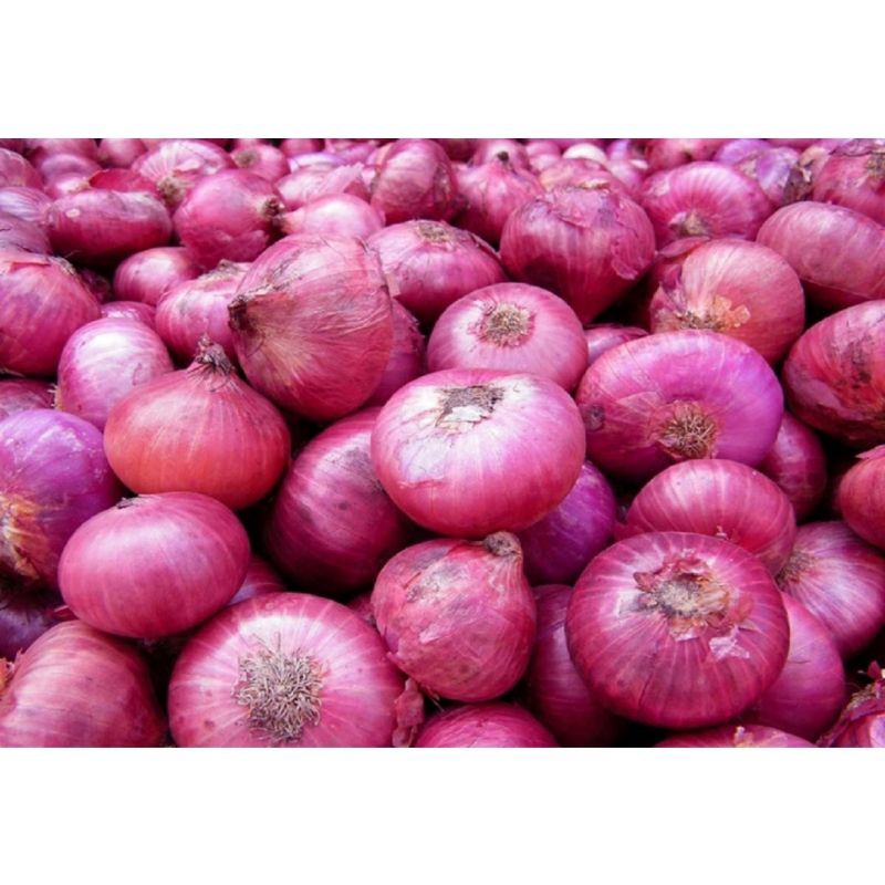 

BAWANG MERAH PEKING INDIA 1KG MURAH BANGET