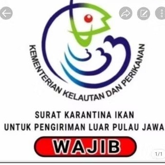 

surat karantina wajib untuk pengiriman luar pulau