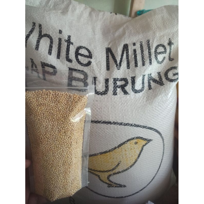 

milet Putih 100gram