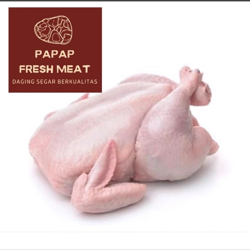 

Ayam broiler segar