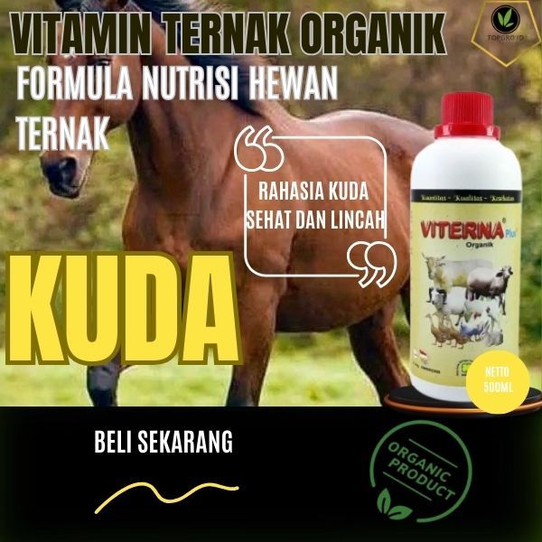 Vitamin Kuda / Vitamin dan Mineral Khusus Kuda / Vitamin Penggemuk Kuda / Vitamin Kuda Pacu / 500ML