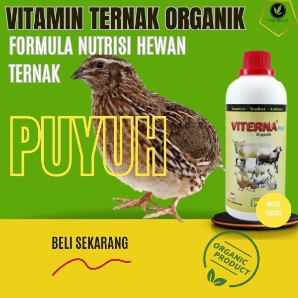 Vitamin Puyuh Petelur / Vitamin Burung Puyuh / Stimulant Puyuh / Probiotik Untuk Ternak Puyuh/500ML
