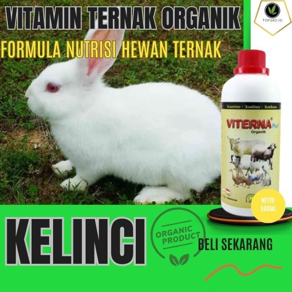 Vitamin Kelinci / Vitamin Kelinci Untuk Bulu dan Kesehatan / Biobig / Oxbow / Holland Lop / Fuzzy