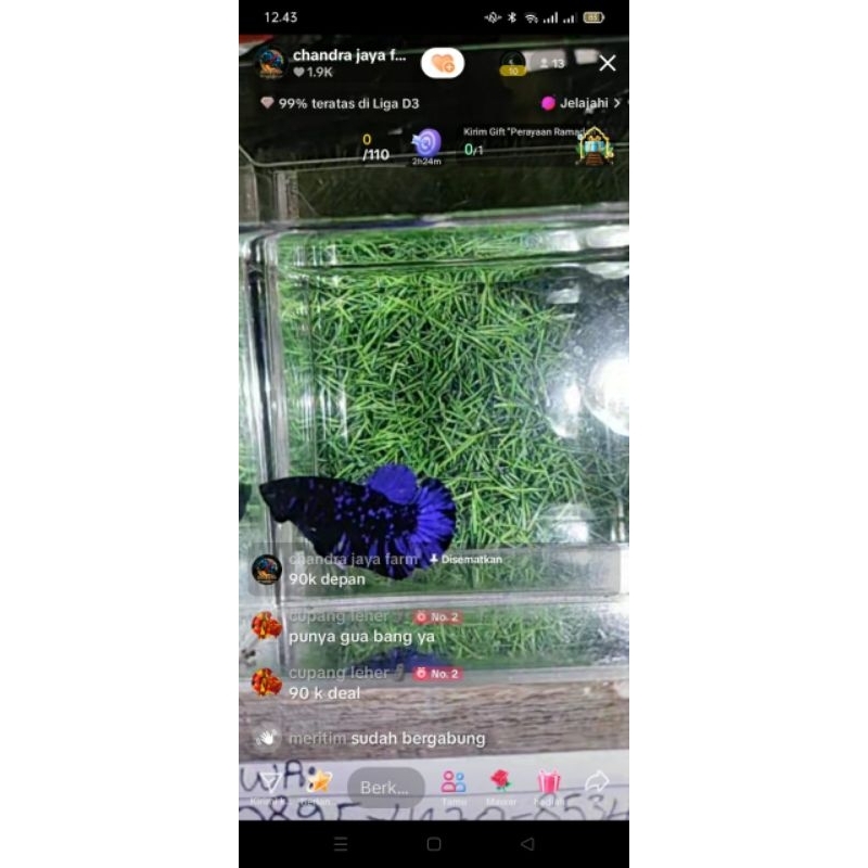 

blue avatar