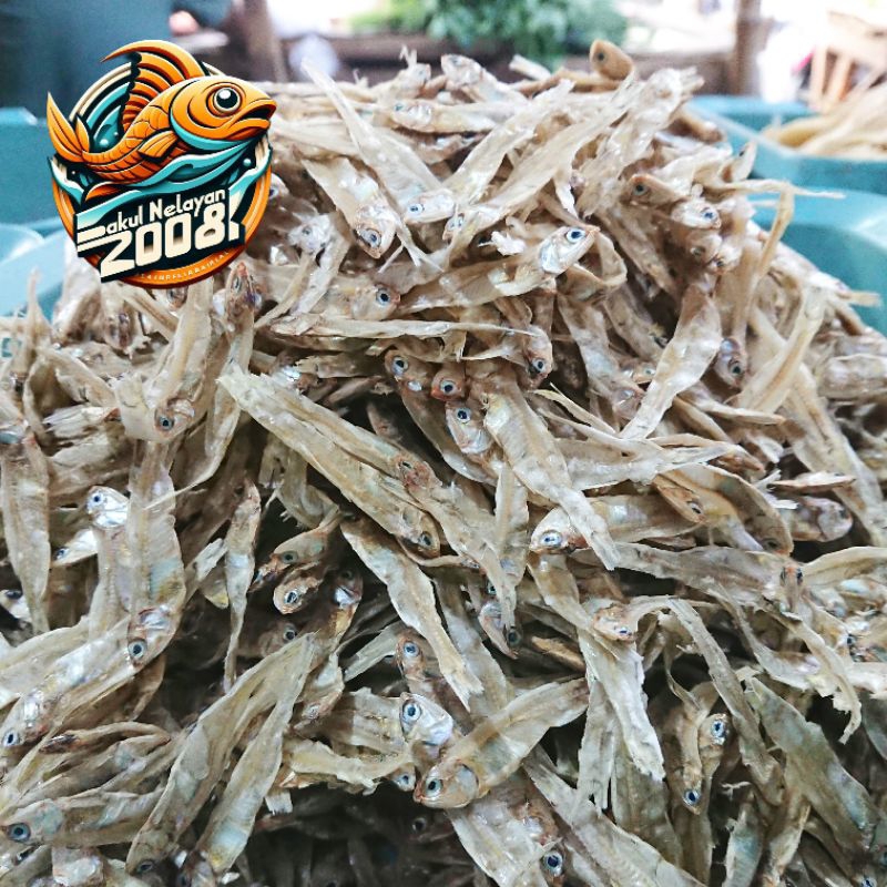 

Teri tawar bunga kecil | ikan teri tawar