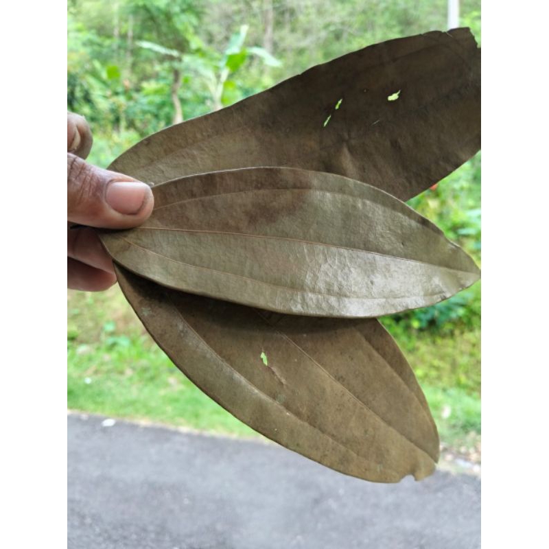 

Daun manis