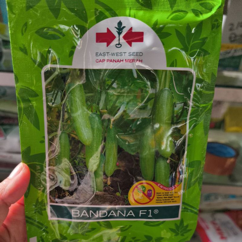 Benih Timun BANDANA F1
