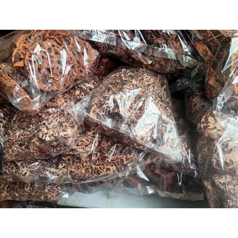 

Sarang semut putih papua/obat herbal alami sarang semut/sarang semut putih asli papua ,kemasan 500 gram