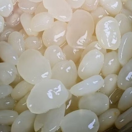 kolang kaling kualitas super / Manisan Mentah KolangKaling 1kg