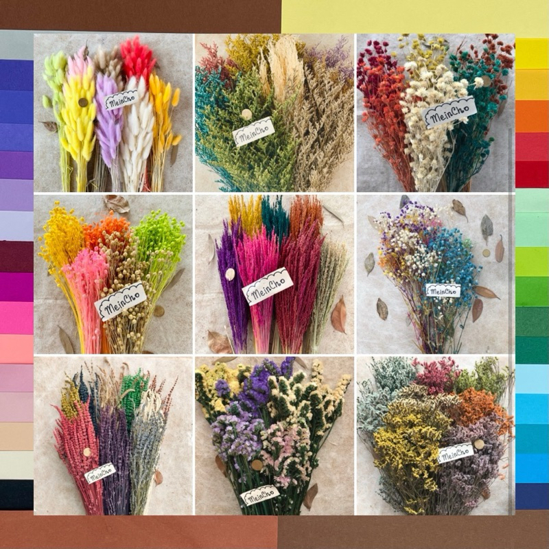 (100gr/50 tangkai) GROSIR Baby Breath Preserved Gypsophila Dried Flower Bunga Kering Rustic Aestheti